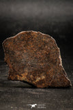 06293 - Nice Polished Section NWA Unclassified L-H Type Ordinary Chondrite Meteorite 14.0g