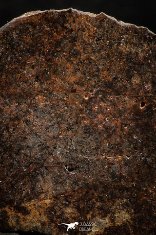 06293 - Nice Polished Section NWA Unclassified L-H Type Ordinary Chondrite Meteorite 14.0g