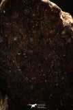 06295 - Nice Polished Section NWA Unclassified L-H Type Ordinary Chondrite Meteorite 11.0g