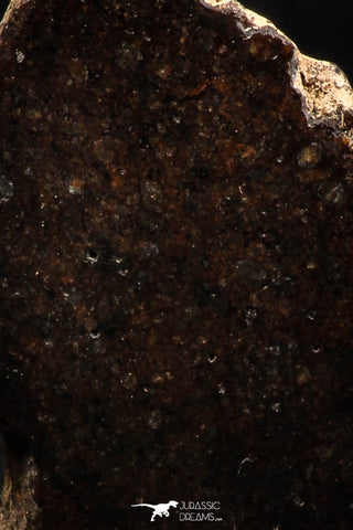 06295 - Nice Polished Section NWA Unclassified L-H Type Ordinary Chondrite Meteorite 11.0g