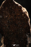 06295 - Nice Polished Section NWA Unclassified L-H Type Ordinary Chondrite Meteorite 11.0g