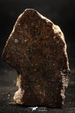06295 - Nice Polished Section NWA Unclassified L-H Type Ordinary Chondrite Meteorite 11.0g
