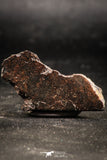 06296 - Nice Polished Section NWA Unclassified L-H Type Ordinary Chondrite Meteorite 8.0g