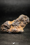06296 - Nice Polished Section NWA Unclassified L-H Type Ordinary Chondrite Meteorite 8.0g