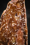 06301 - Top Beautiful 0.65 Inch Abelisaur Dinosaur Tooth Cretaceous KemKem Beds
