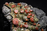 20914 - Beautiful Red Vanadinite Crystals on Manganese Oxide Mibladen Mining District, Morocco