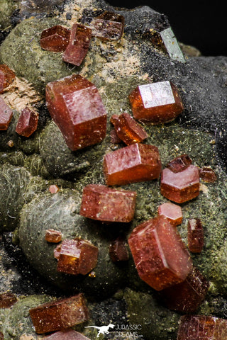 20914 - Beautiful Red Vanadinite Crystals on Manganese Oxide Mibladen Mining District, Morocco