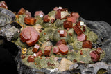 20914 - Beautiful Red Vanadinite Crystals on Manganese Oxide Mibladen Mining District, Morocco