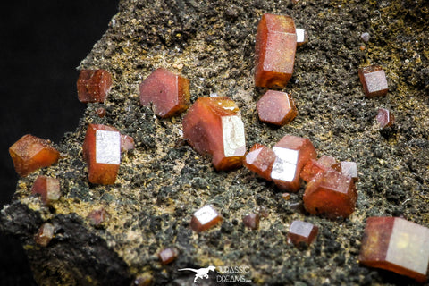 20915 - Beautiful Red Vanadinite Crystals on Manganese Oxide Mibladen Mining District, Morocco