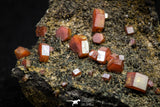 20915 - Beautiful Red Vanadinite Crystals on Manganese Oxide Mibladen Mining District, Morocco