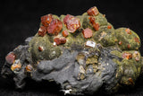 20916 - Beautiful Red Vanadinite Crystals on Manganese Oxide Mibladen Mining District, Morocco