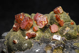 20916 - Beautiful Red Vanadinite Crystals on Manganese Oxide Mibladen Mining District, Morocco