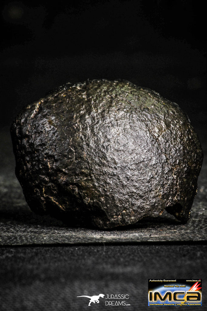 22388 - Top Rare 35.1g NWA Unclassified Chondrite H6 Type Melt Breccia Meteorite ORIENTED
