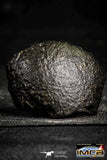 22388 - Top Rare 35.1g NWA Unclassified Chondrite H6 Type Melt Breccia Meteorite ORIENTED