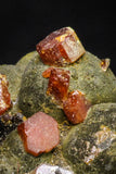 20916 - Beautiful Red Vanadinite Crystals on Manganese Oxide Mibladen Mining District, Morocco