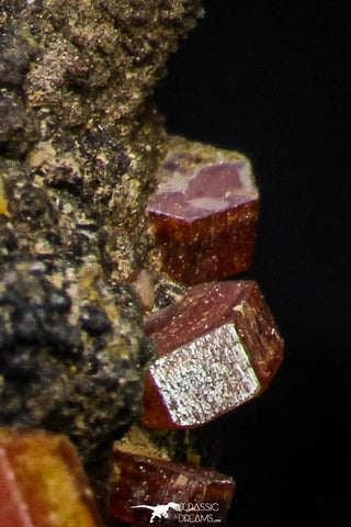 20917 - Beautiful Red Vanadinite Crystals on Manganese Oxide Mibladen Mining District, Morocco