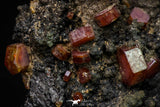 20917 - Beautiful Red Vanadinite Crystals on Manganese Oxide Mibladen Mining District, Morocco