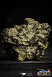 22389 - Top Rare 101.6g Complete NWA Unclassified Eucrite Achondrite Meteorite