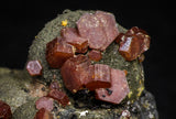 20918 - Beautiful Red Vanadinite Crystals on Manganese Oxide Mibladen Mining District, Morocco