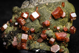 20919 - Beautiful Red Vanadinite Crystals on Manganese Oxide Mibladen Mining District, Morocco