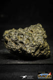 22389 - Top Rare 101.6g Complete NWA Unclassified Eucrite Achondrite Meteorite