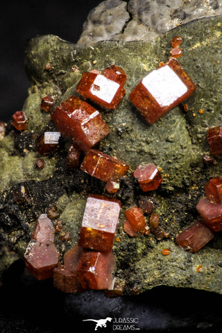 20919 - Beautiful Red Vanadinite Crystals on Manganese Oxide Mibladen Mining District, Morocco