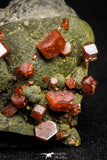 20919 - Beautiful Red Vanadinite Crystals on Manganese Oxide Mibladen Mining District, Morocco