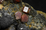 20920 - Beautiful Red Vanadinite Crystals on Manganese Oxide Mibladen Mining District, Morocco