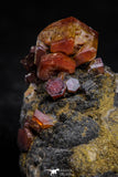 20920 - Beautiful Red Vanadinite Crystals on Manganese Oxide Mibladen Mining District, Morocco
