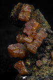 20921 - Beautiful Red Vanadinite Crystals on Manganese Oxide Mibladen Mining District, Morocco