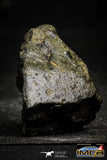 22390 - Top Rare 46.7 g Complete NWA Unclassified Eucrite Achondrite