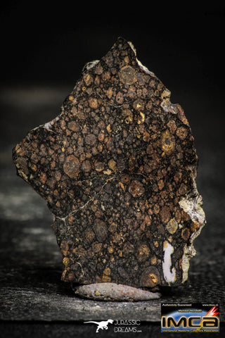 22373 - Polished Thin Section NWA Unclassified Carbonaceous Chondrite CV3 8.32 g