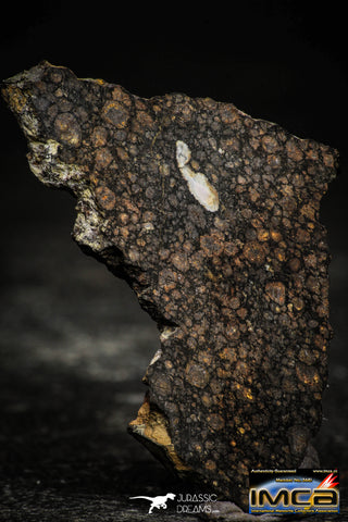 22374 - Polished Thin Section NWA Unclassified Carbonaceous Chondrite CV3 7.86 g