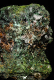20928 - Beautiful Malachite Crystals on Barite Matrix - Taouz Barite Mines (Morocco)