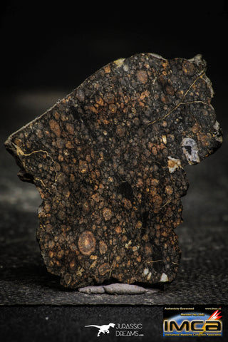 22377 - Polished Thin Section NWA Unclassified Carbonaceous Chondrite CV3 12.31 g