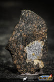 22379 - Polished Thin Section NWA Unclassified Carbonaceous Chondrite CV3 4.56g