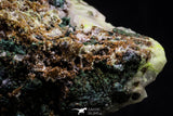20928 - Beautiful Malachite Crystals on Barite Matrix - Taouz Barite Mines (Morocco)