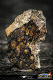 22384 - Polished Thin Section NWA Unclassified Carbonaceous Chondrite CV3 1.06g