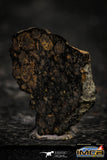 22384 - Polished Thin Section NWA Unclassified Carbonaceous Chondrite CV3 1.06g