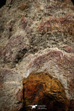 06351 - Top Rare Spinosaurus - Crocodile 3.01 Inch Coprolite with Digested Fish Scales