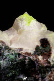 20931 - Beautiful Malachite Crystals on Barite Matrix - Taouz Barite Mines (Morocco)