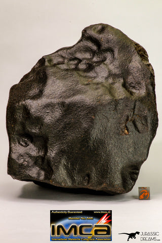 09098 - Complete Oriented NWA Unclassified Ordinary Chondrite Meteorite 4573 g With Fusion Crust