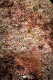06353 - Beautiful Spinosaurus - Crocodile 1.83 Inch Coprolite with Digested Fish Scales