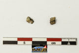 22246 - Collection of Lunar Meteorites Paired with "NWA 11273" 0.12 g (Feldspathic Regolith Breccia)