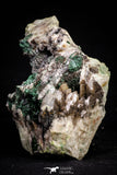 20932 - Beautiful Malachite Crystals on Barite Matrix - Taouz Barite Mines (Morocco)