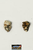 22249 - Collection of Lunar Meteorites Paired with "NWA 11273" 0.156 g (Feldspathic Regolith Breccia)