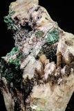 20932 - Beautiful Malachite Crystals on Barite Matrix - Taouz Barite Mines (Morocco)
