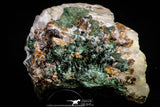 20933 - Beautiful Malachite Crystals on Barite Matrix - Taouz Barite Mines (Morocco)