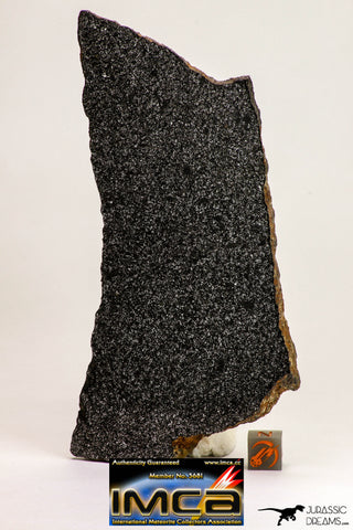 09100 -Top Rare Museum Grade NWA Polished Section of Enstatite Chondrite EL6  142.5 g