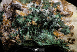 20933 - Beautiful Malachite Crystals on Barite Matrix - Taouz Barite Mines (Morocco)